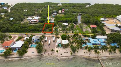 L634 - Commercial & Residential Roadfront Parcel For Sale in Maya Beach, Placencia, Stann Creek