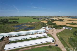 Stonehill Farms Inc., Laird Rm No. 404, Saskatchewan