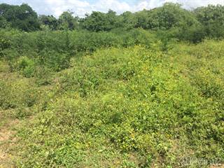 PROPERTY CLOSE TO THE AIRPORT OF LIBERIA, OPPORTUNITY FOR INVESTMENT., Liberia, Guanacaste