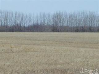 #5. Richardt 142.15 Acres Grasswood, Grasswood, Saskatchewan