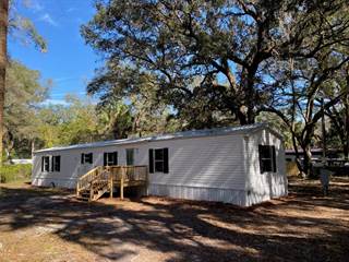 3502 272nd Ave, Old Town, FL, 32680