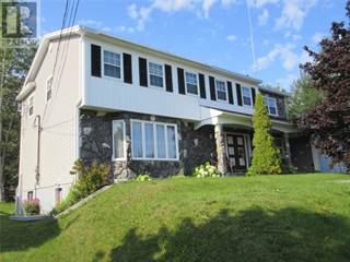 Central Newfoundland Real Estate Houses For Sale In Central