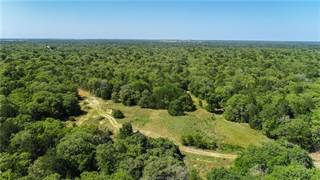 Tbd County Road 324 (+/-45 acres), Caldwell, TX, 77836
