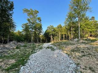15490 Sargent Lot, Willow Springs, MO, 65793