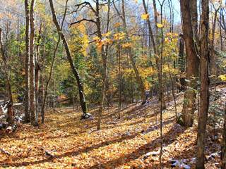 Lot 21 TALL TIMBERS RD, Presque Isle, WI, 54557