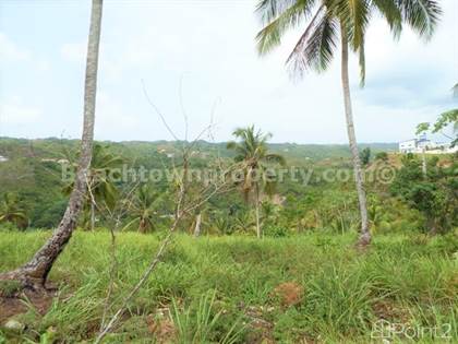 Lots And Land for sale in LAS TERRENAS DEVELOPMENT LAND FOR SALE WITH OCEAN VIEW [ PROPERTY ID: L1494DB ], Las Terrenas, Samaná