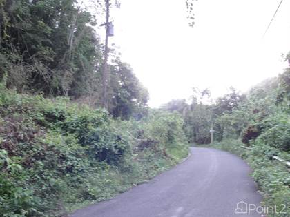 Lots And Land for sale in carretera 146km. 23.1, Ciales, PR, 00638
