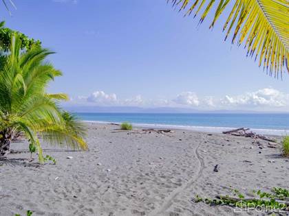 Picture of Welcome to Platanares Beach, Playa Preciosa, Puerto Jimenez, Puntarenas