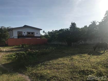 House For Sale at Soludpan, Bacong, Dumaguete, Negros Oriental | Point2