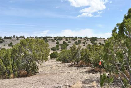 Picture of 43 Lost Calf Lane, Magdalena, NM, 87825