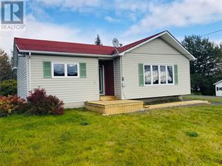 Central Newfoundland Real Estate Houses For Sale In Central