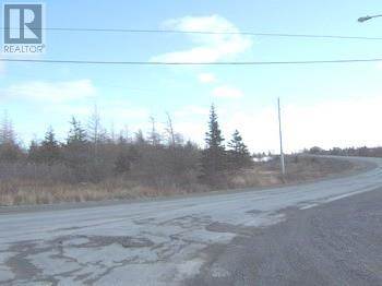 30-46 HIGHROAD OTHER N, Carbonear, NL - photo 3 of 10