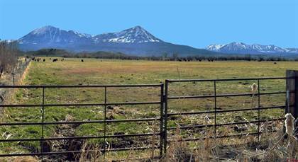 36006 Back River Road, Paonia, CO, 81428