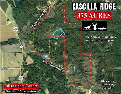 81 Cascilla Road - Cascilla-Tallahatchie County, Holcomb, MS, 38940