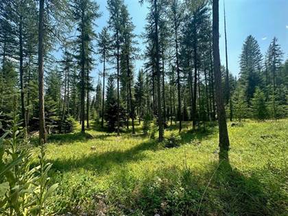 Picture of Lot 1 The Crossings at Bachelor Grade, Kalispell, MT, 59901