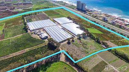 Farm And Agriculture for sale in Rancho Daisy | Investment LAND | Km. 50 Carretera Libre Tijuana - Ensenada, Playas de Rosarito, Baja California
