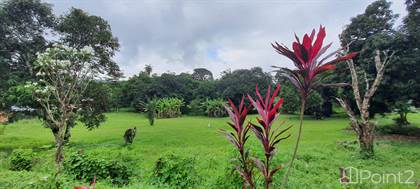Residential Development Lot - 5 Minutes to the Beach, Jaco, Puntarenas