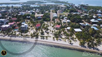 Picture of Spectacular Half acre beachfront, Placencia, Placencia, Belize