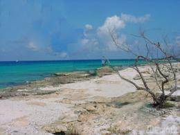 Terreno Miguel Col. Zona Hotelera Norte, CP 77613, Cozumel, Cozumel,  Quintana Roo, Cozumel, Quintana Roo — Point2