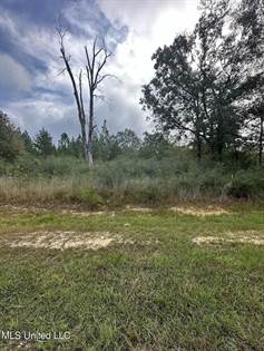 Lot 8 Stone Forest Trail, McHenry, MS, 39561