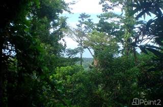 Best Ocean Views from Limon Lights to Puerto Viejo - 111 acres, Cahuita, Limón