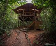 Photo of Perezosa Jungle Cabin In Lush Rainforest.
