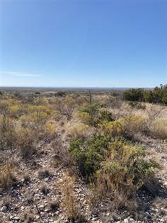Heritage Canyon Ranch (Phase I), Tract 6, Dryden, TX, 78851
