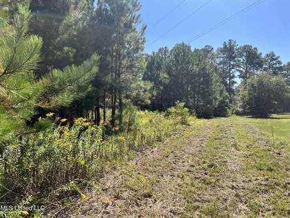 Picture of Tbd Big 4 Road, Wiggins, MS, 39577