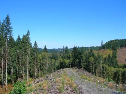 Chapman Grange (Lookout View) Rd, Scappoose, OR, 97056