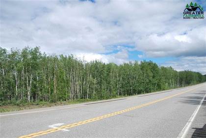 Picture of MILE 309 PARKS HIGHWAY, Nenana, AK, 99760