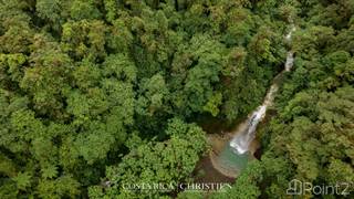 Celeste Waterfall Ranch, Sarchi, Alajuela