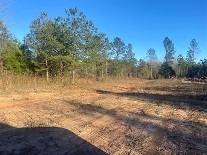 Lots And Land for sale in 245 Clairborne Jones Rd, Waynesboro, MS, 39367