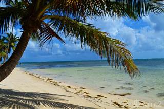 Habaneros Beachfront, Ambergris Caye, Belize