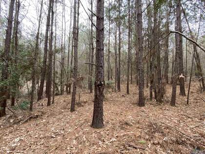 Picture of Tbd Lake Cypress Road, Hallsville, TX, 75650