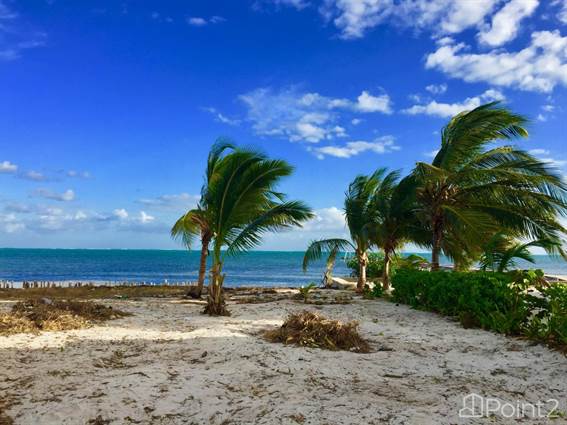 Land For Sale at Beachfront Lot in Island Park Estates, Ambergris Caye ...