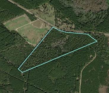 Lots And Land for sale in 000 FM 943, Livingston, TX, 77351