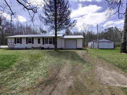 Residential Property for sale in 3825 W Browns Rd, Lake, MI, 48632