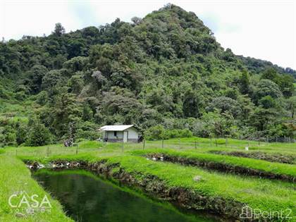 Picture of 60.5 Acre Property For Sale With Trout Farming In Los Naranjos, Chiriqui, Boquete, Chiriquí
