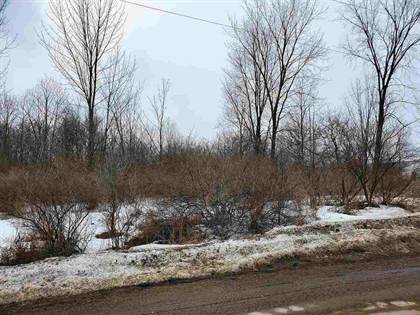 Lots And Land for sale in Phelps Rd & SH 11, Richville, NY, 13681
