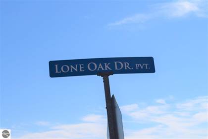 4496 Lone Oak Drive, Traverse City, MI - photo 3 of 9