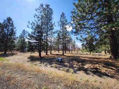 Picture of Lot 131 Fisher Rd, Weed, CA, 96094