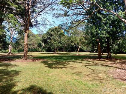 Beautiful 5000 m² flat lot in Fifths Plantation Estates in Naranjo, Naranjo, Alajuela