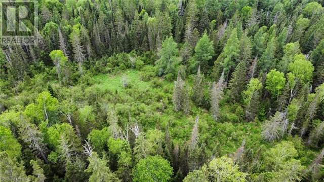 Land For Sale at 0 HWY 17 E, Rutherglen, Ontario | Point2