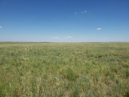 TBD County Road 35, Brush, CO, 80723