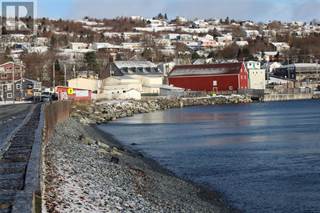 223 Water Street, Carbonear, Newfoundland and Labrador, A1Y1B6