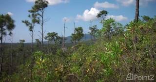 Belize Wildlife Corridor 160 acres for sale Stann Creek, Hopkins, Stann Creek