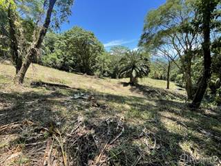 5.4 ACRES - Amazing Ocean View Acreage With Multiple Building Sites And Legal Water!!! , Dominical, Puntarenas
