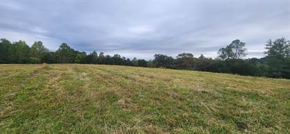 Picture of LOT 10 English RD, Rocky Mount, VA, 24151