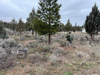 Picture of 9-1 Lot 204 Mountain Wood, Weed, CA, 96094