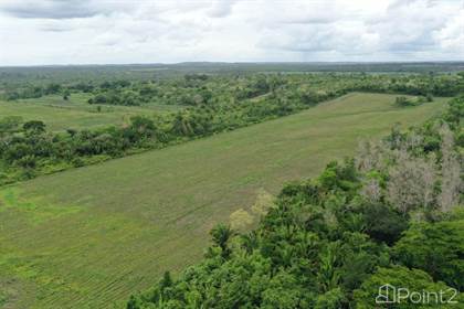 Farm And Agriculture for sale in 25 Acres Near the Belize River, Spanish Lookout, Cayo